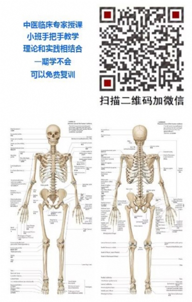 中医正骨整脊研修班8月8日开课